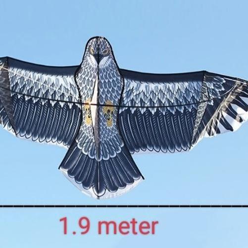 Layangan elang parasut JUMBO + layangan lipat