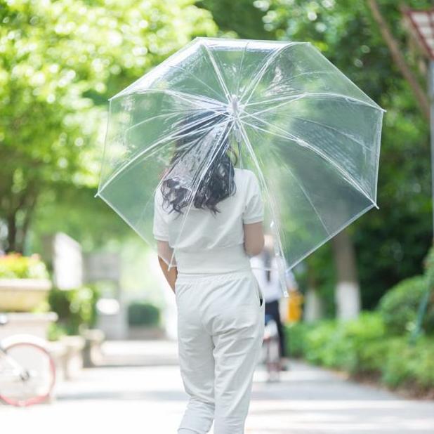 Payung Bening Transparan Payung Jepang Transparan