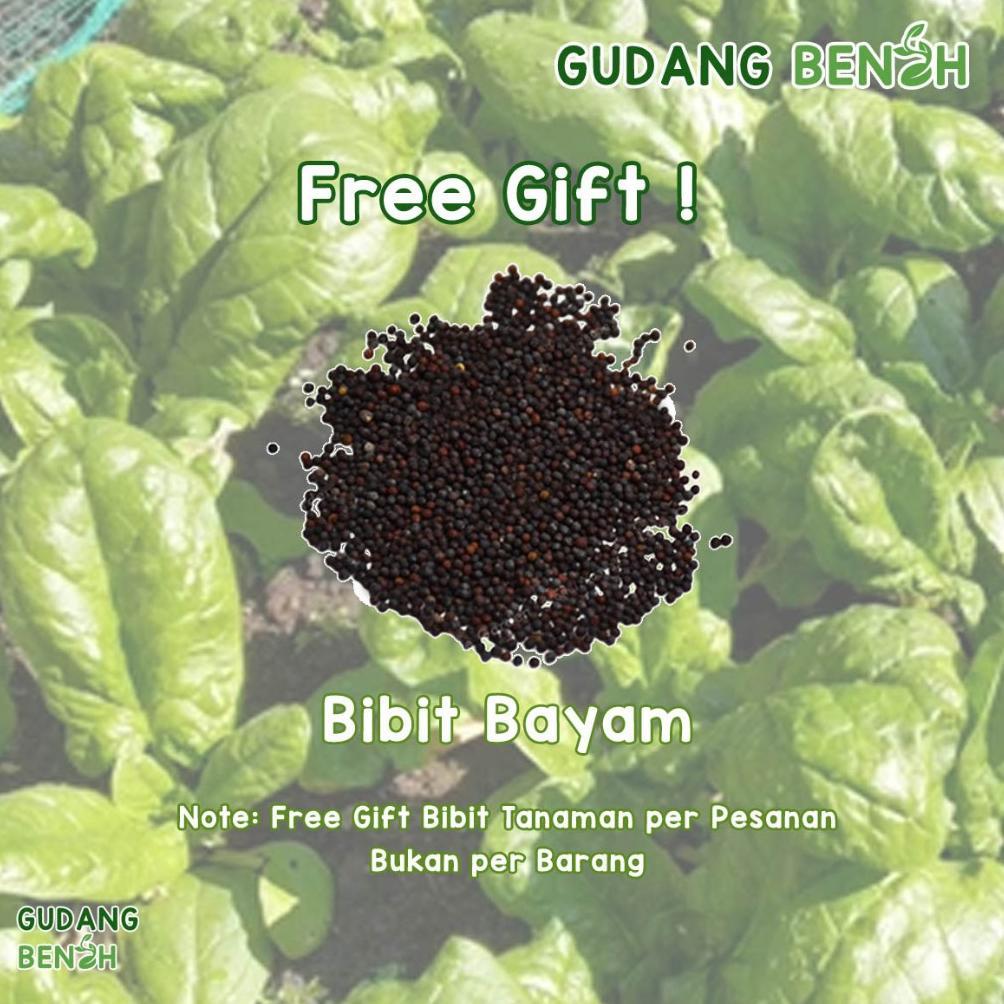 Promo Cod Semangka Mini Watermelon Biji Unggul Tahan Hama Isi 50 Benih, Bibit Buah Semangka ...