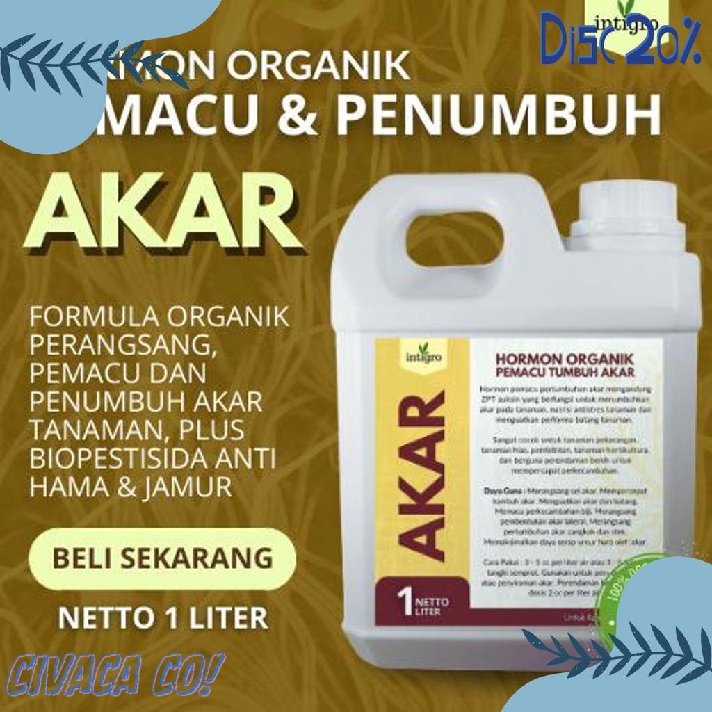 Diskon Up To 70% Pupuk Penumbuh Akar / Pupuk Akar Tanaman Buah / Pupuk Akar Durian / Pupuk Akar Tana