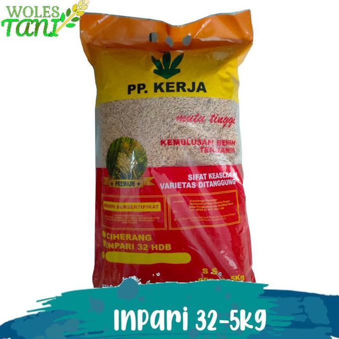 Terlaris Benih Padi Inpari 32 Premium Pak Tani 5 Kg