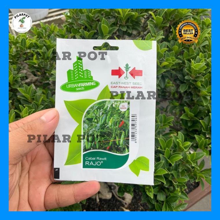 (Terbaru) Benih Bibit Cabe Rawit Rajo Cap Panah Merah - Cabai Rawit Rajo East West Seed Bestseller