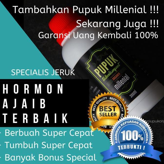 Terlaris Pupuk Pohon Jeruk Nipis, Pupuk Jeruk Nipis Agar Cepat Berbuah,Xxxx