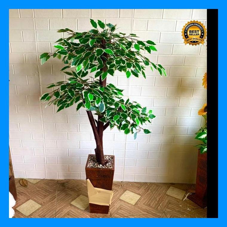 (Ready) Pohon Beringin Hijau List Putih Tinggi 120Cm Bestseller
