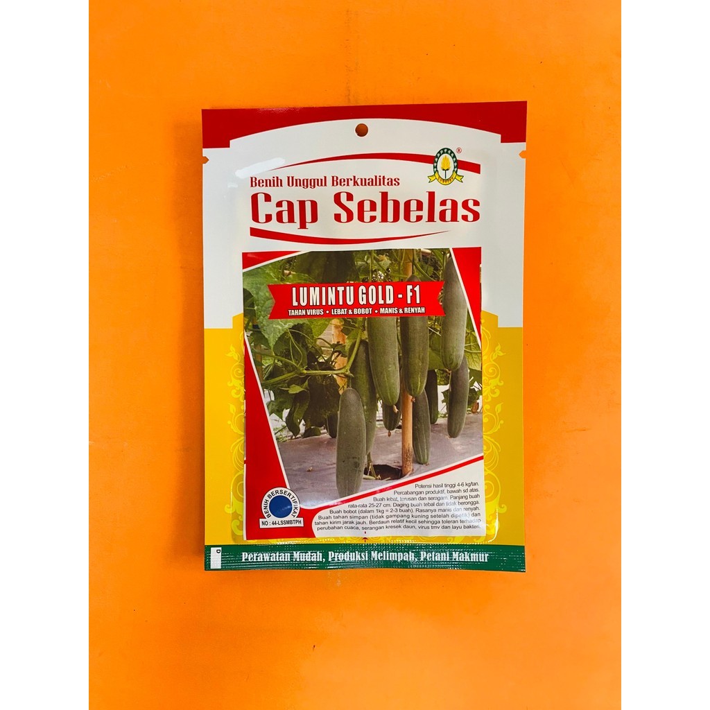 Benih Timun Ketimun Mentimun LUMINTU GOLD F1 20 gr dari Cap Sebelas