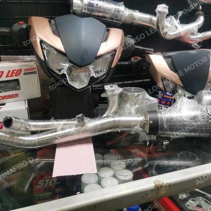 DIREWOLF proliner special custom tr 2 carbon edition mxking knalpot