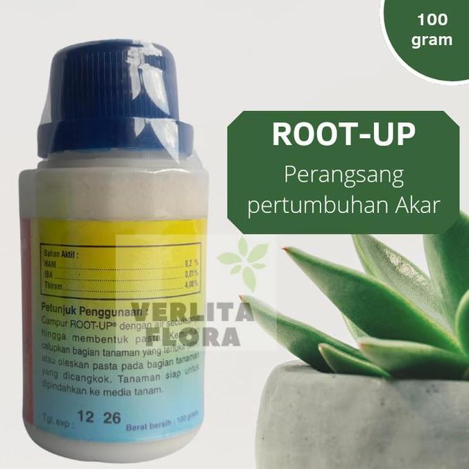 ZPT / Pertumbuhan akar Root Up