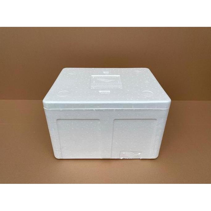 Box Styrofoam Besar Box Sterofoam Besar Box Packing BARU