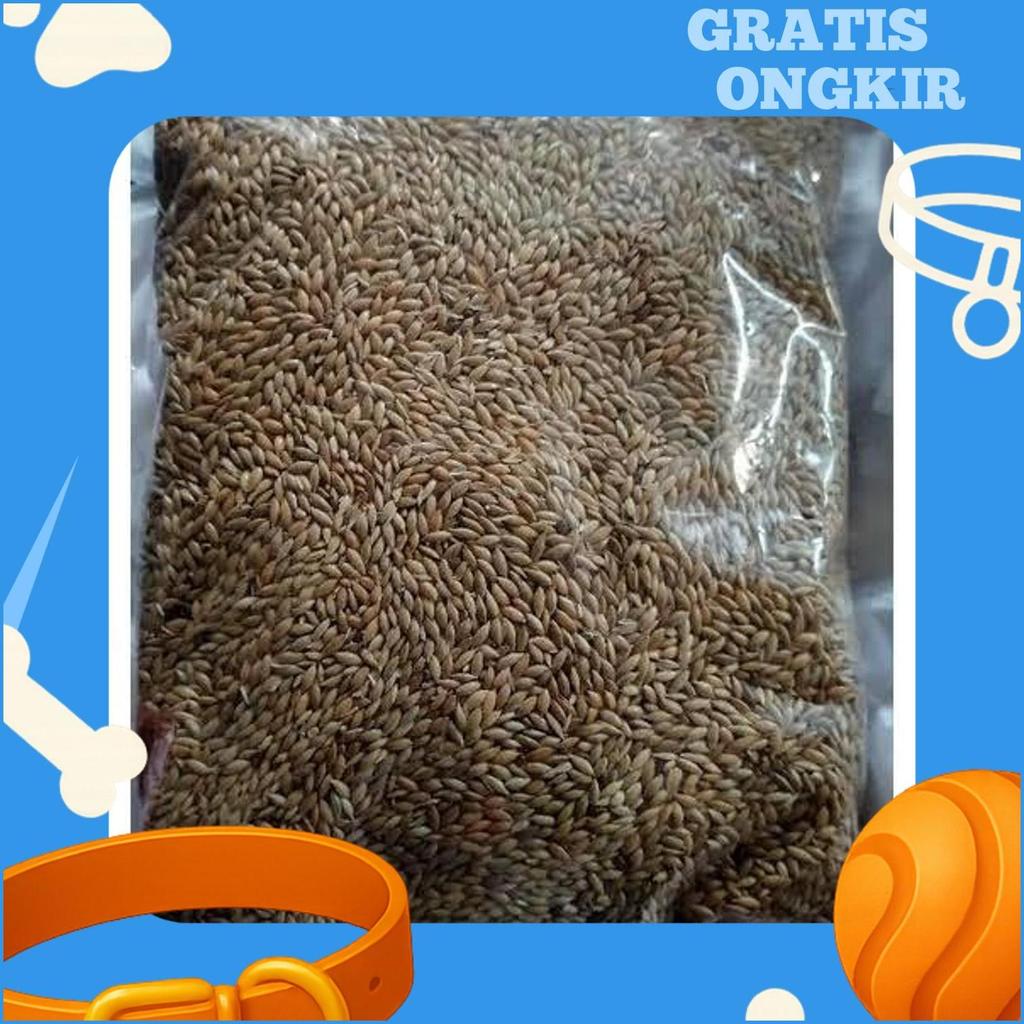 Kenari Seed 1 Kg
