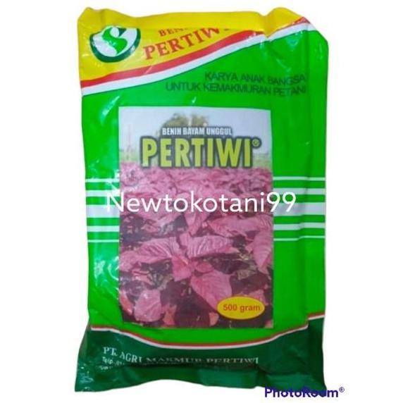 ( 500 Gram ) Benih Bayam Merah Pertiwi 500 Gram Bibit Bayam Merah Berkualitas Dari Benih Pertiwi
