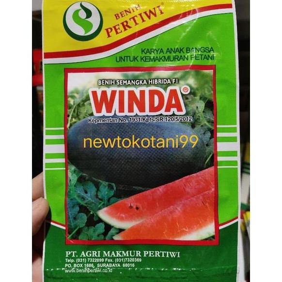 Benih Semangka Winda 20 Gram Semangka Inul Hibrida Winda F1 20Gr Semangka Merah Winda Dari Benih Per