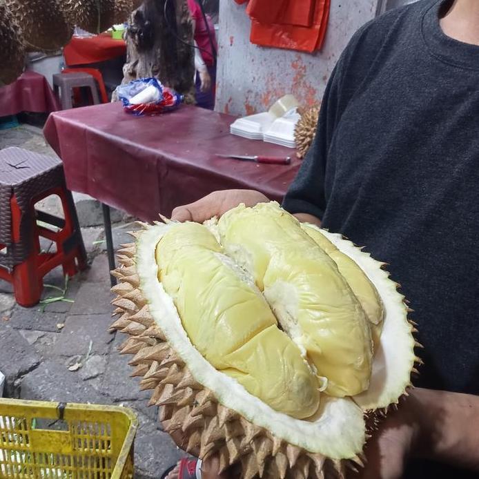 Ready durian Bahorok utuh