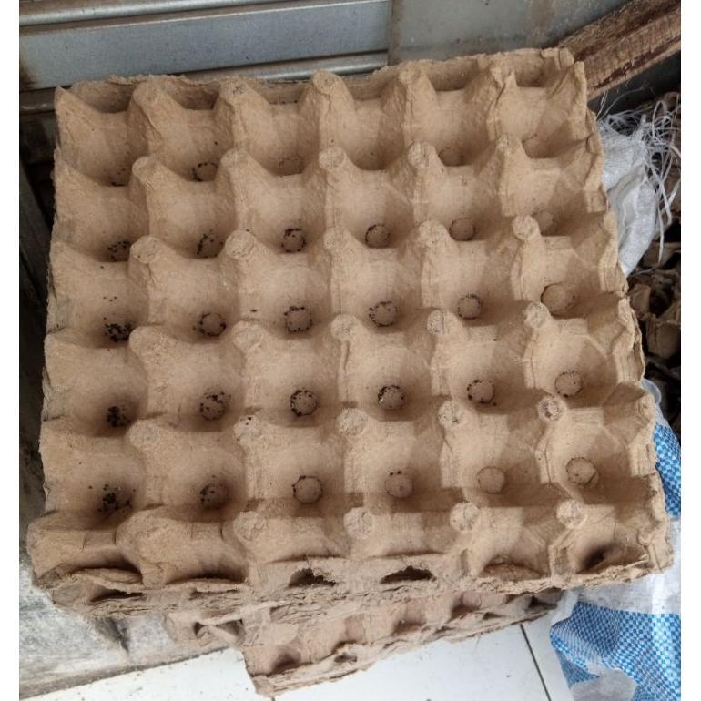 Bisa Cod Egg Tray Karton 30 Butir Telur Ayam/Bebek/Wadah Telur ||