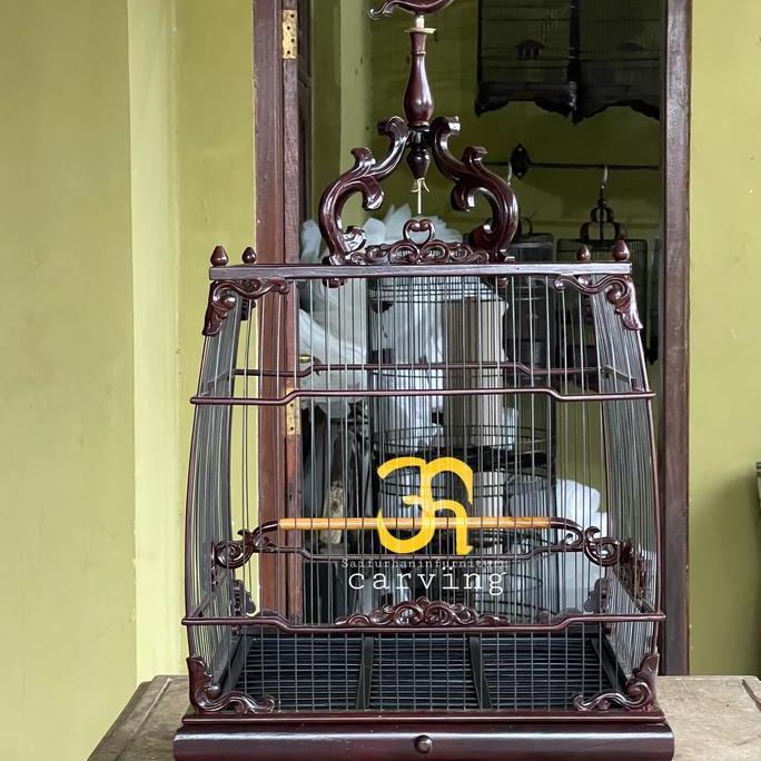sangkar cungkok vietnam sangkar cungkok bahan kayu jati kelas impor sangkar cungkok sangkar burcil