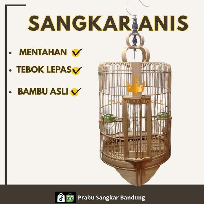 sangkar anis kembang kandang anis batu sangkar anis merah bambu mentahan