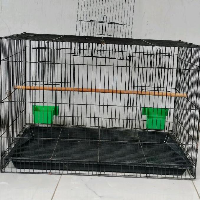 Sangkar Kandang Umbaran burung  Size Large L 60x40cm Ekonomis Fullset Free 2 Cepuk Plus Tatakan Tang