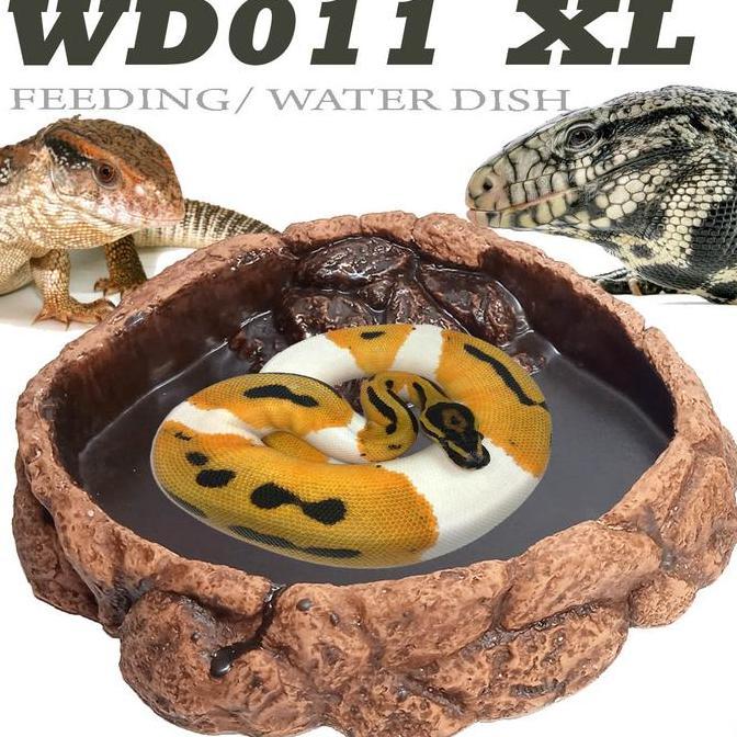 WD011XL WATERDISH WATER FEEDING DISH TEMPAT MAKAN MINUM IGUANA HIJAU BEARDED DRAGON BD DUNNER NAGA B