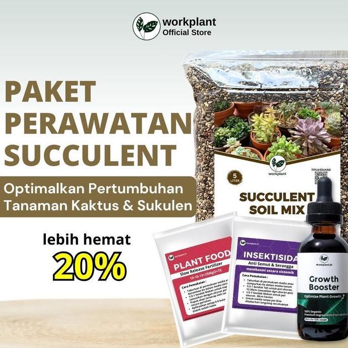Workplant - Paket Perawatan Succulent Optimalkan Pertumbuhan Tanaman Hias Kaktus dan Sukulen