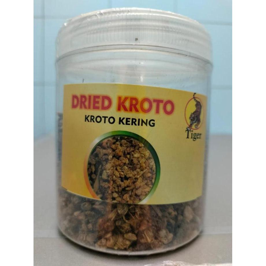 KROTO KERING TOPLES  PAKAN BURUNG MURAI KACER ANIS PLECI