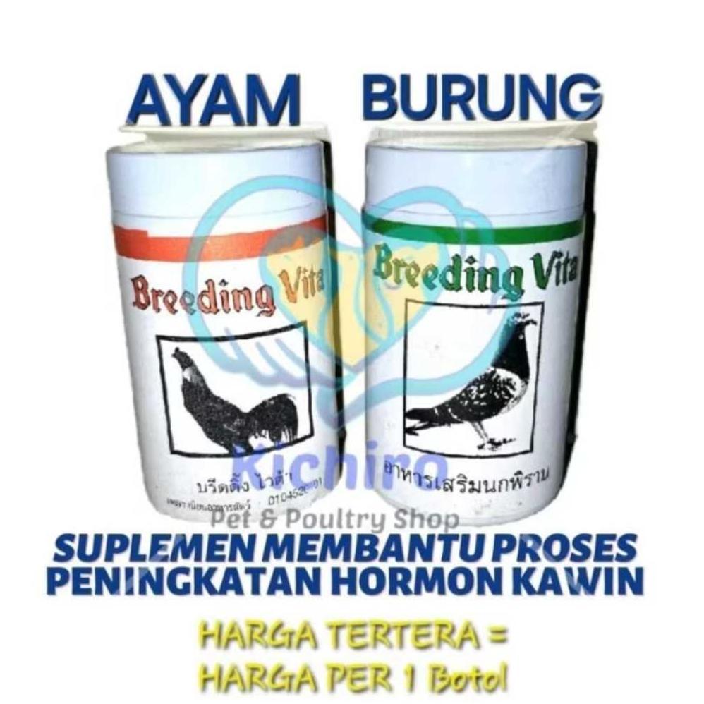Breeding Vita Botol Thailand Ayam Merpati