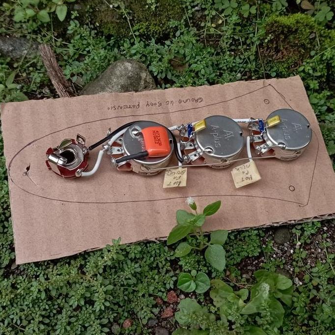 Prewiring Jazz Bass Wiring Harness Orange Drop Treble Bleed