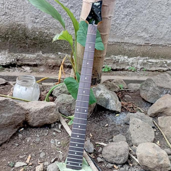 Neck Bass SGR Schecter C-5 String