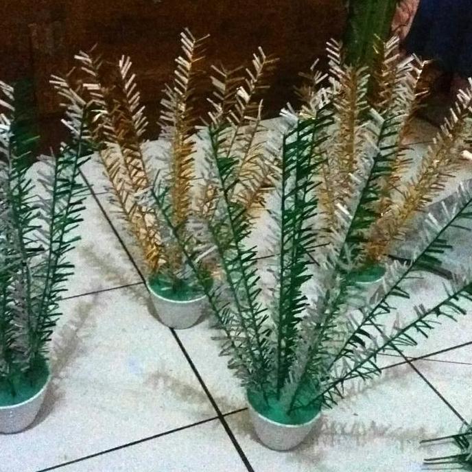 miniatur pohon akar kelapa