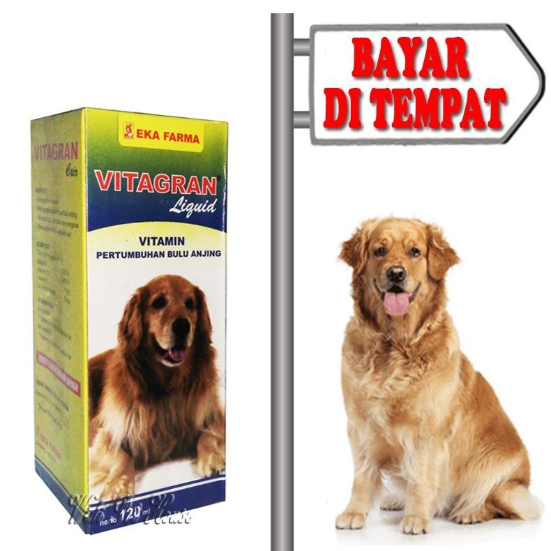 Vitamin Tumbuh Bulu Anjing Pelebat Obat Anti Rontok Vitagran Dog