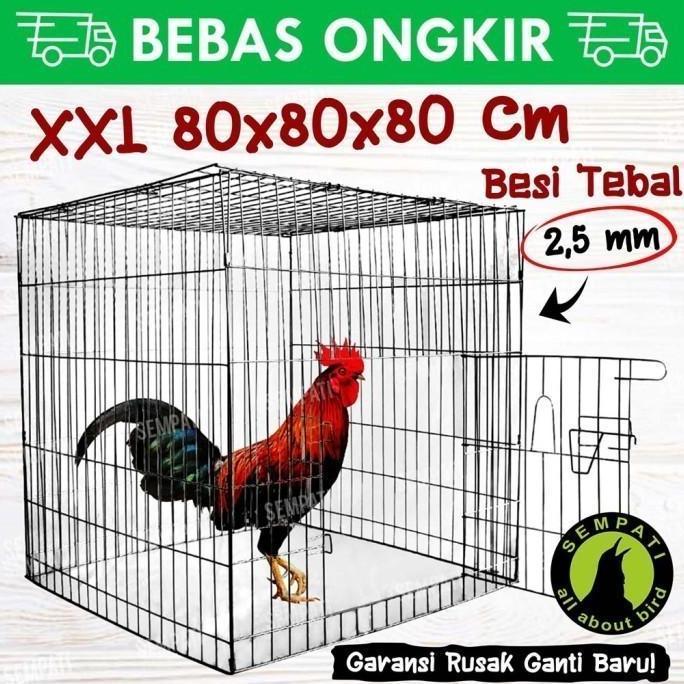 Sangkar kandang besi galvanis kotak kurung kurungan ayam laga aduan