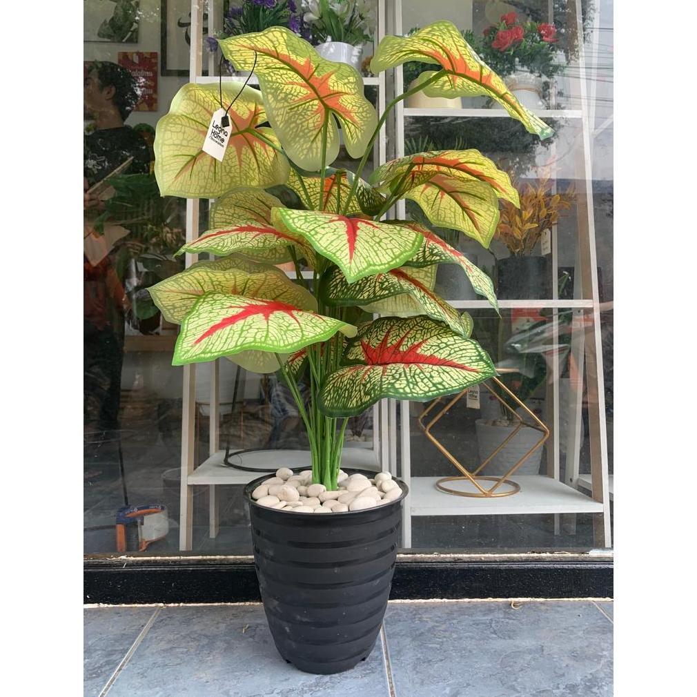 Tanaman Hias Plastik Daun Keladi Artificial Dekorasi Aesthetic