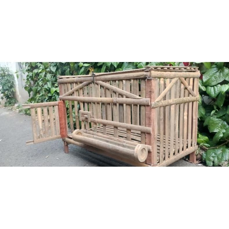 Kandang Ayam Bambu Pembesaran Bonus Tempat Pakan