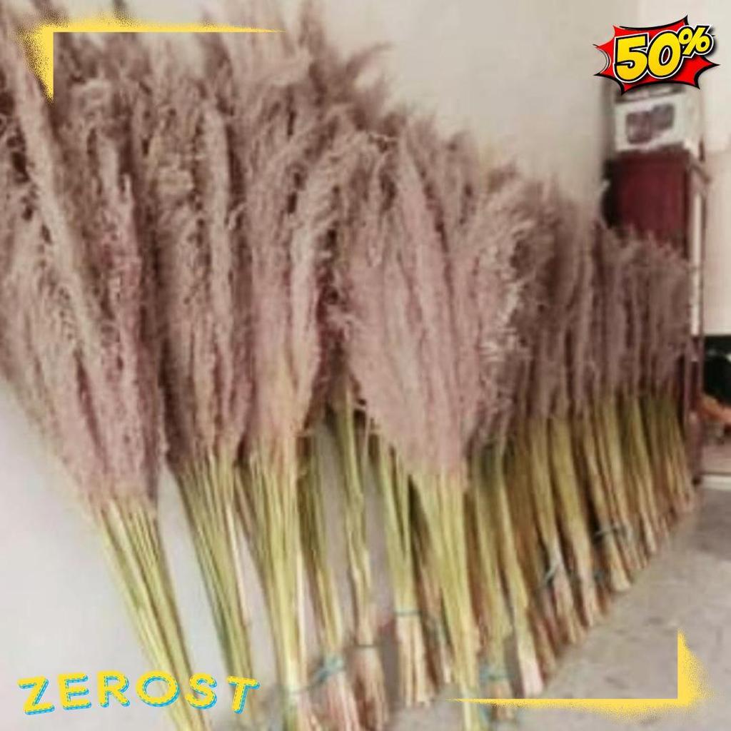 Cod Pampas Bulu Pampas Kering Pampas Dekorasi Rustic