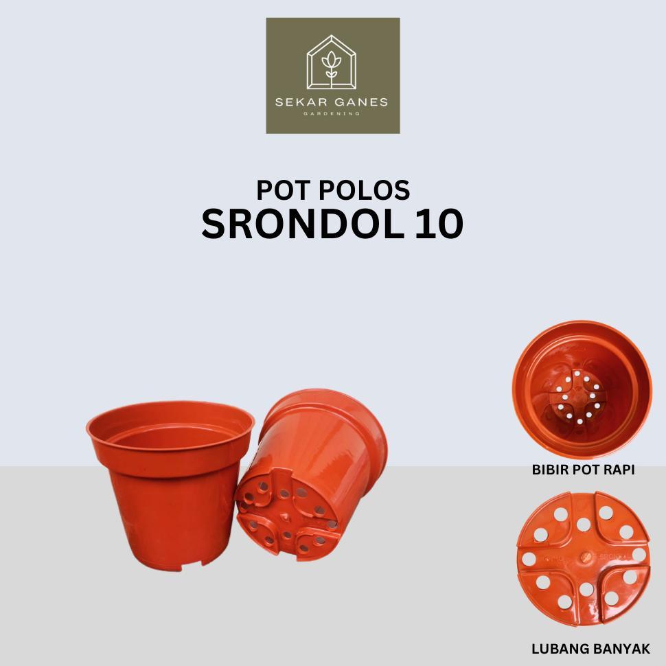 Bisa Cod Ya Kak Paketan Lusinan Pot 10 Hitam Putih Pink Hijau Orange Biru Kuning Warna Warni Isi 12 