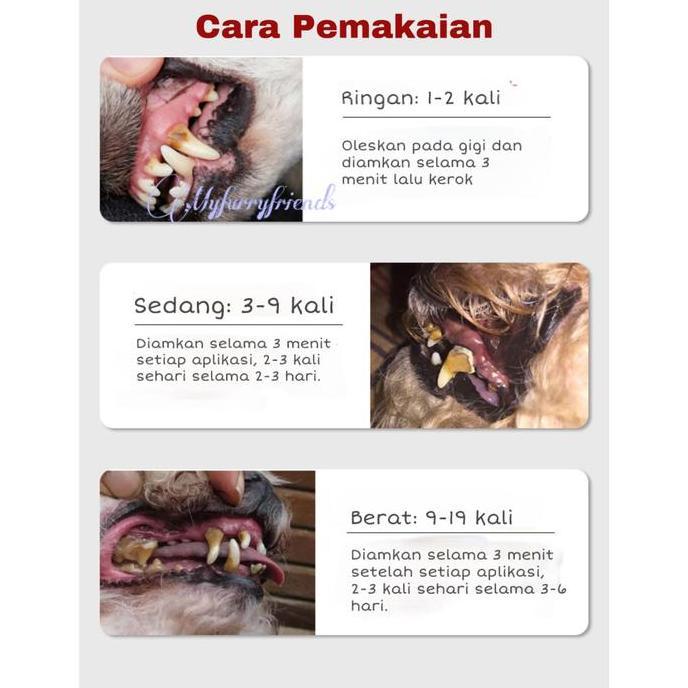 Kojima Japan Teeth Cleaning And Spa Pen Hewan Pembersih Karang Gigi
