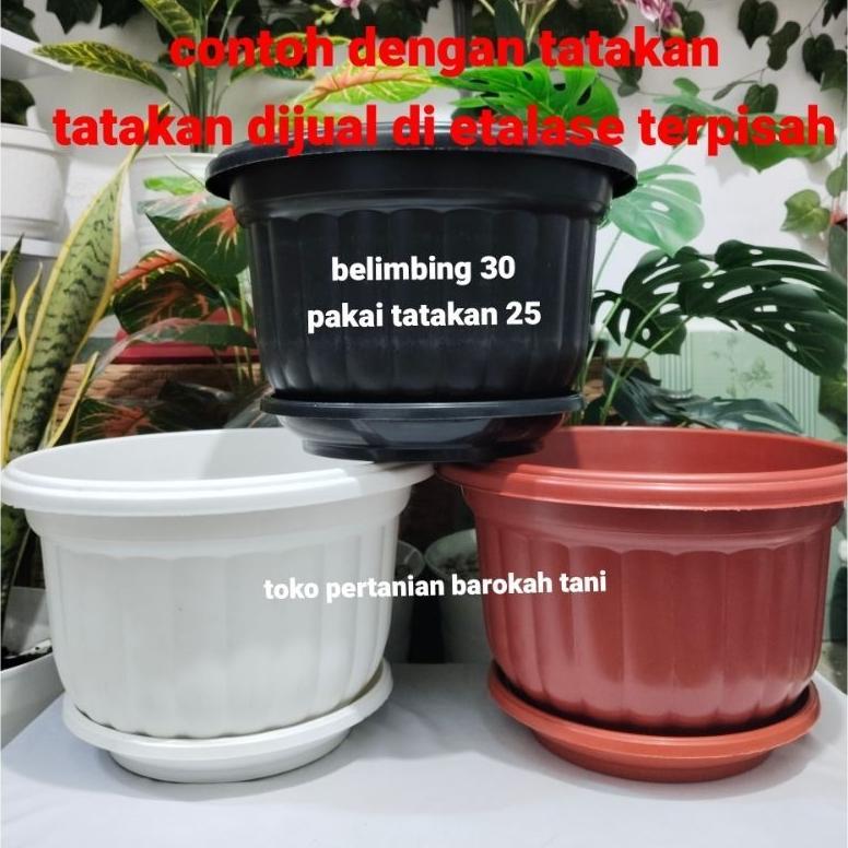 Promo Cod (1Pcs) Pot Belimbing 30 Pot Jumbo Model Belimbing Tebal Murah 