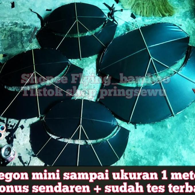 New- layangan gapangan pegon mini 2 jengkal sudah tes terbang