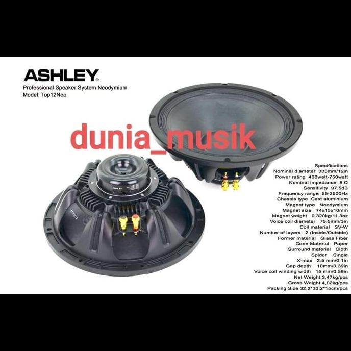 SPEAKER ASHLEY TOP12NEO 12INCH ORINAL