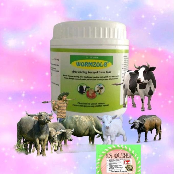 Ready stock WORMZOL-B OBAT CACING 10 butir KAMBING DOMBA SPEKTRUM LUAS wormzol bolus asli by MEDION