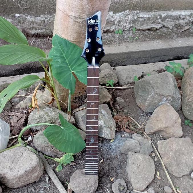 Neck Gitar Schecter Damien 6 String