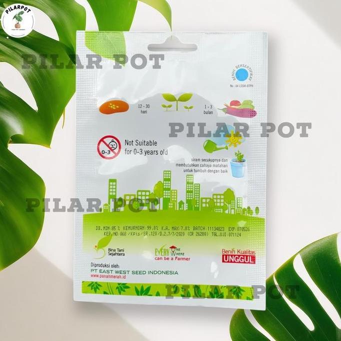 Benih Bibit Semangka Merah Non Biji Amelia F1 Cap Panah Merah - SEMANGKA AMELIA F1 EAST WEST SEED