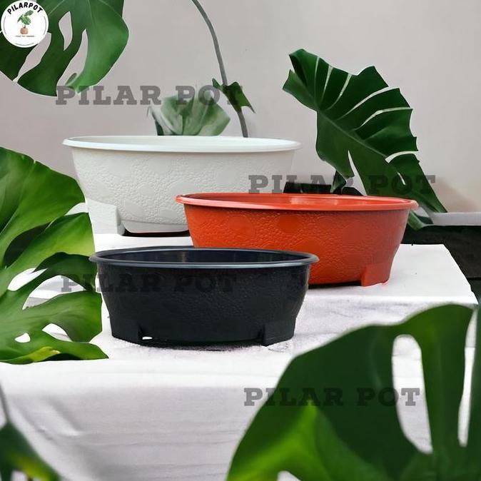 Pot Bunga Tanaman Bonsai 10 Oval 50 Cm Bahan Tebal - BJ BONSAI OVAL 10