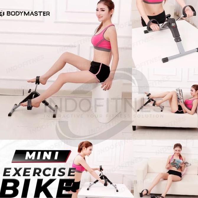 Sepeda Statis Mini - Portable Bike /Kaki/Meja/Terapi/Tangan/Duduk