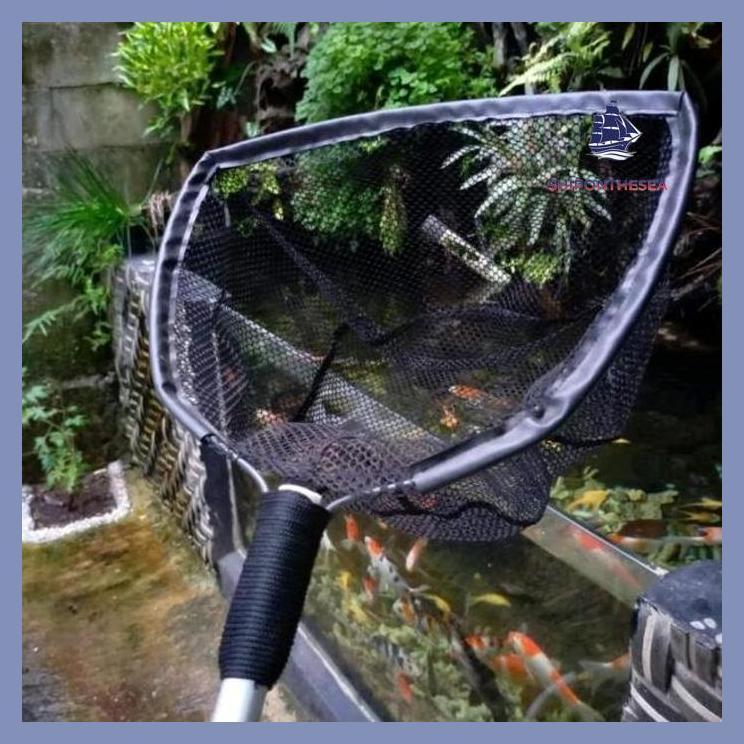 (PANCING) SESER SEROKAN IKAN KOI JUMBO SESER IKAN KOI BESAR SEROKAN IKAN JUMBO LELE KOI DLL SIAP KIR