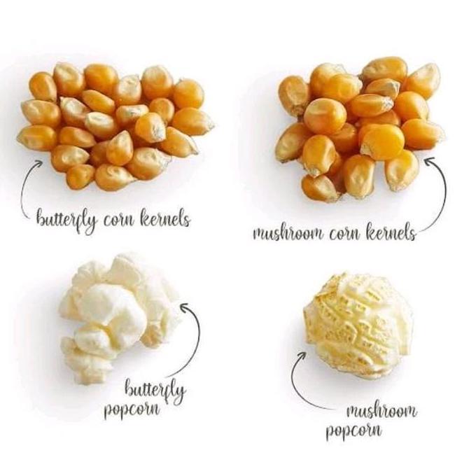 Jagung Popcorn Mushroom Jagung Popcorn Jumbo Mushrom Plus Makanan Camilan Sna