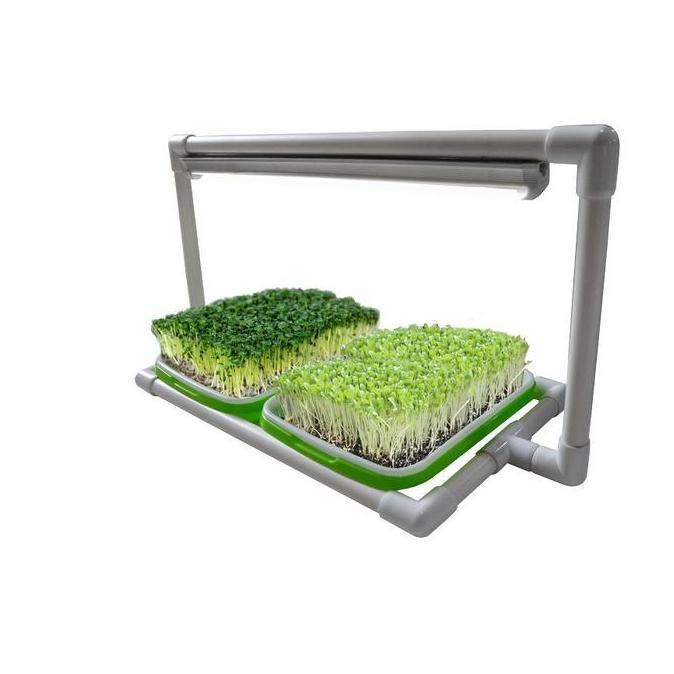Mini Kit GROWLIGHT TRAY MICROGREENS 2 Tray
