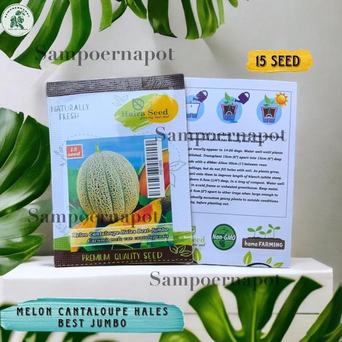 Benih Bibit Melon Cantaloupe Hales Best Jumbo Haira Seed - CANTALOUPE