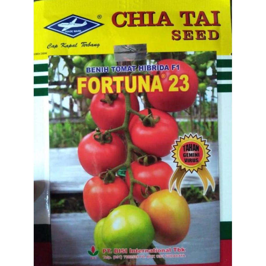 New- Benih Tomat Fortuna 23