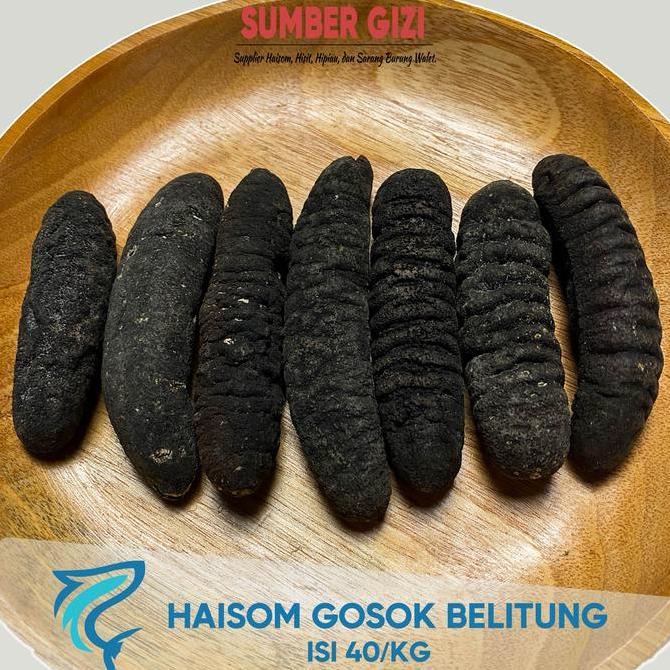 Terlaris Haisom Gosok Isi 40 Per Kg | Teripang Kering Premium Asli Bangka Belitung Siap Masak / Trip