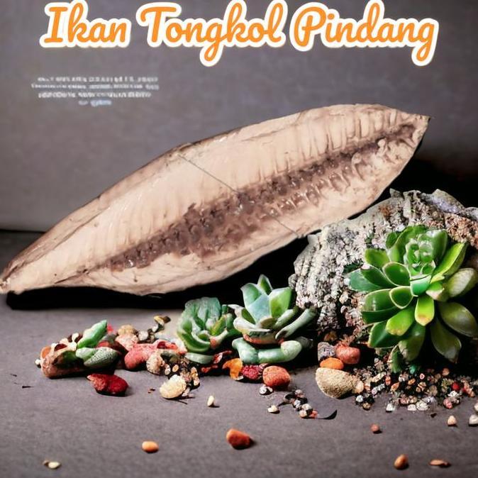 Terlaris Ikan Cue Tongkol Rebus / Ikan Cuek Pindang Potong Iris 250 Gr S/D 1 Kg