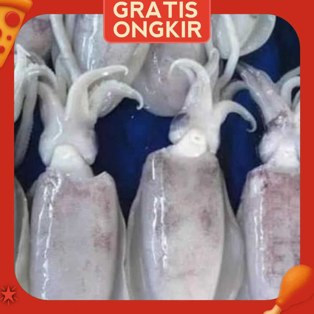 Cumi Tube Cumi Semampar Segar 1Kg